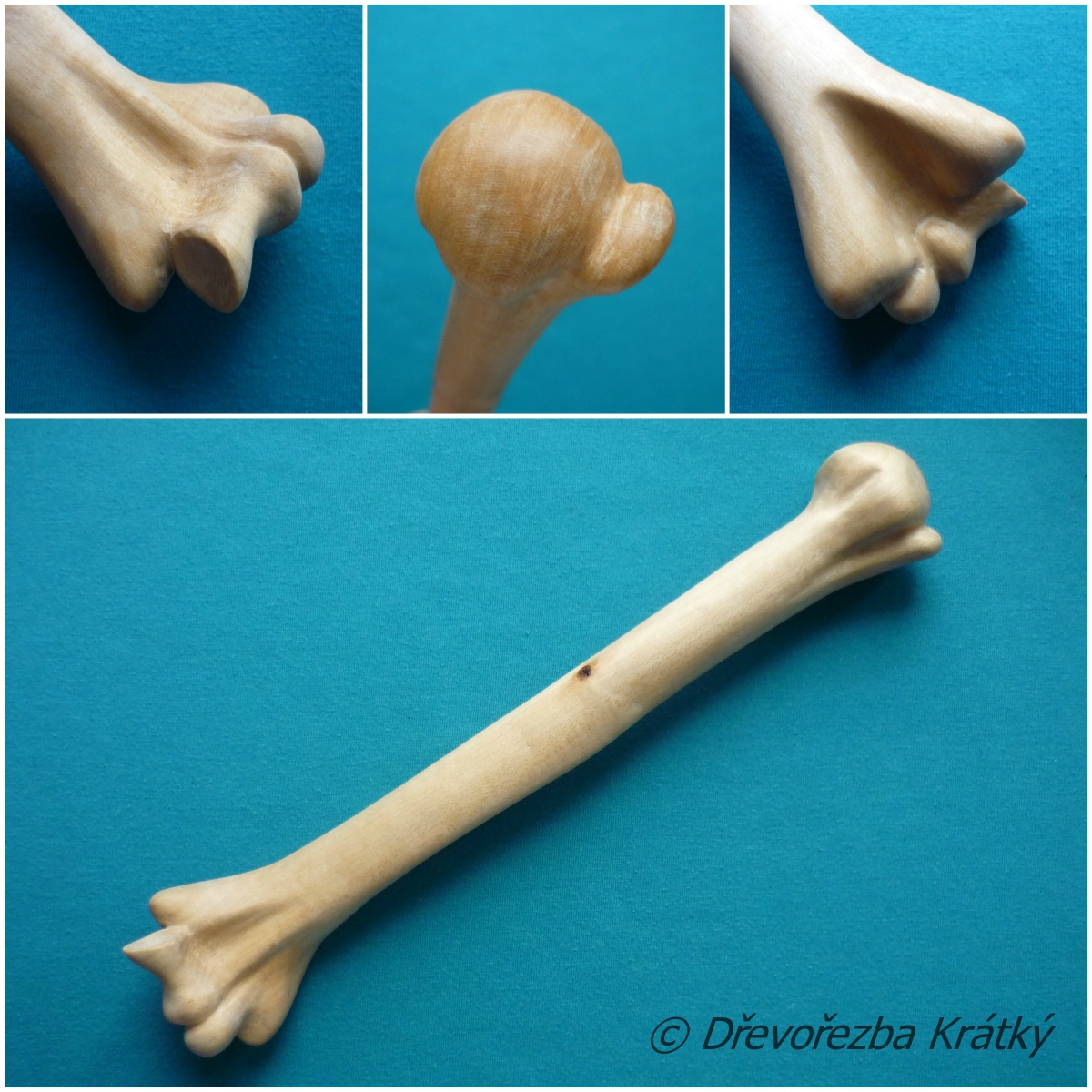 Model pažní kosti